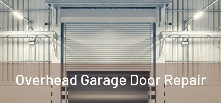 Overhead Garage Door Repair