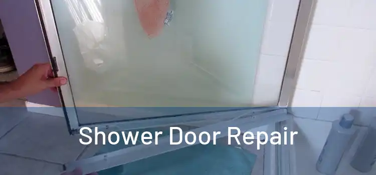  Shower Door Repair 